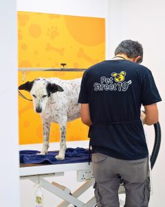 κουρεμα σκυλων Θεσσαλονικη