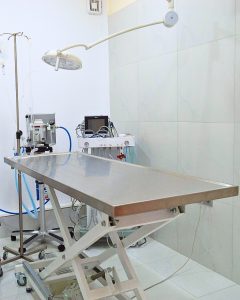 κλινικη ζωων Θεσσαλονικη