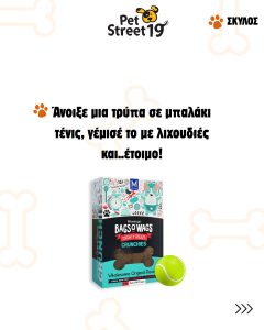 PetStreet19.gr Ι Pet Shop Μπότσαρη Θεσσαλονίκη