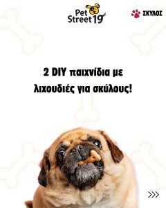 PetStreet19.gr Ι Pet Shop Μπότσαρη Θεσσαλονίκη