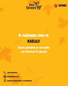 petstreet19.gr Μποτσαρη Θεσσαλονίκης